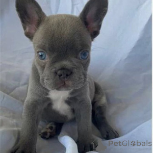 Zdjęcie №2 do zapowiedźy № 163568 na sprzedaż   - wkupić się Ukraina 