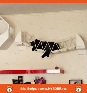 Zdjęcie №4. Naścienny kompleks gier dla kotów Droga kontemplacji w Federacja Rosyjska. Zapowiedź № 5272