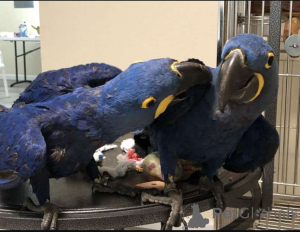 Zdjęcie №1.  - na sprzedaż w Hamburg | Bezpłatny | Zapowiedź №162679