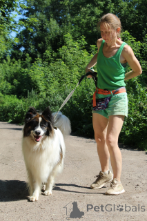 Zdjęcie №4. Sprzedam  w Balashikha. ze schronu - cena - Bezpłatny