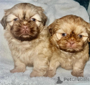 Zdjęcie №1.  - na sprzedaż w Cölbe | 1674zł | Zapowiedź №154945