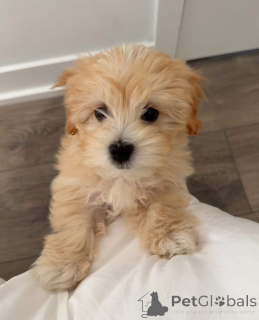 Zdjęcie №3. PRZED WYSYŁANIEM WIADOMOŚCI PRZECZYTAJ Upewnij się, że rozmawiałeś już ze swoim. USA