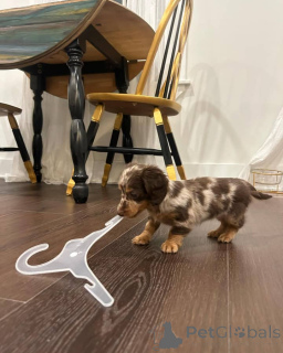 Zdjęcie №1.  - na sprzedaż w Brandenburg | Bezpłatny | Zapowiedź №150843