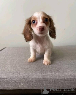 Zdjęcie №1.  - na sprzedaż w Aarbergen | 2780zł | Zapowiedź №161308