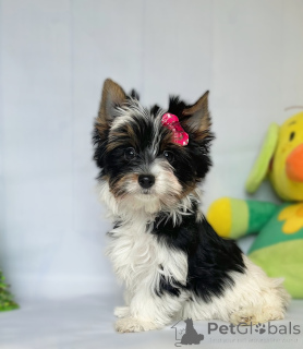 Zdjęcie №1.  - na sprzedaż w Tbilisi | Bezpłatny | Zapowiedź №160376