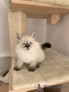 Zdjęcie №2 do zapowiedźy № 132169 na sprzedaż   - wkupić się Szwajcaria 