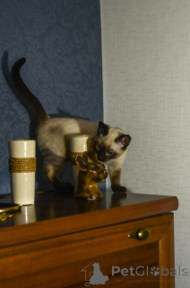 Zdjęcie №3. Oksana Kuchman. Kanada