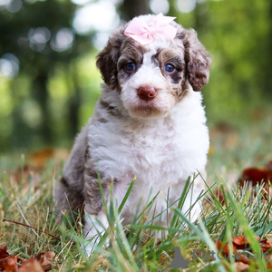 Zdjęcie №1.  - na sprzedaż w Aalen | 1435zł | Zapowiedź №151358