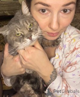 Zdjęcie №4. Sprzedam  w Rzeka Moskwa. prywatne ogłoszenie - cena - Bezpłatny