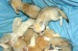 Zdjęcie №1.  - na sprzedaż w Helsinki | negocjowane | Zapowiedź № 158782