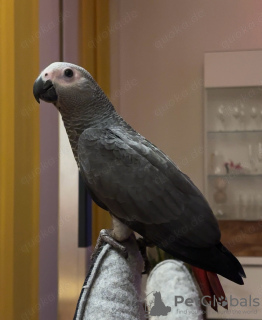 Zdjęcie №4. Sprzedam  w Barcelona.  - cena - 8132zł