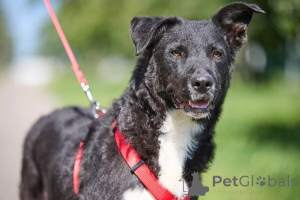 Zdjęcie №3. Noc jest bardzo miła i bardzo własna.. Federacja Rosyjska