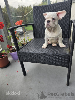 Zdjęcie №3. Maksym Susarow. Estonia