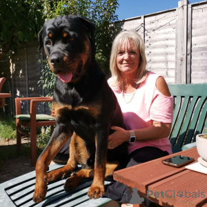 Zdjęcie №2 do zapowiedźy № 163433 na sprzedaż   - wkupić się Niemcy od żłobka