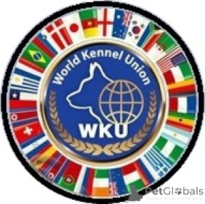 Zdjęcie №4. Przewodnik dla psa w Ukraina. Zapowiedź № 150034