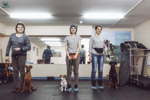 Zdjęcie №3. DogPark Dog Training School w Federacja Rosyjska