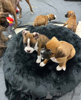 Zdjęcie №2 do zapowiedźy № 161049 na sprzedaż   - wkupić się Kanada 