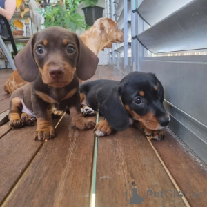 Zdjęcie №1.  - na sprzedaż w Barrie | Bezpłatny | Zapowiedź №163559