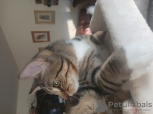 Zdjęcie №3. Astrid Kempf. Niemcy