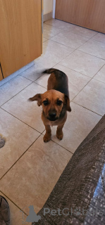 Zdjęcie №4. Sprzedam  w Limassol. prywatne ogłoszenie - cena - 1435zł