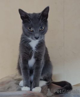 Zdjęcie №3. Kochana Elfi. Białoruś