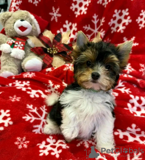 Zdjęcie №1.  - na sprzedaż w Paryż | negocjowane | Zapowiedź №126839