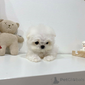 Zdjęcie №1.  - na sprzedaż w Ashkelon | Bezpłatny | Zapowiedź №163364