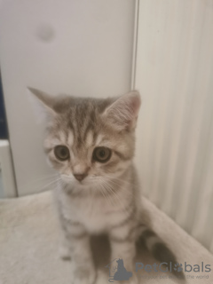 Zdjęcie №3. Bkh. Niemcy