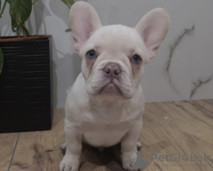 Zdjęcie №3. Magdalena. Niemcy