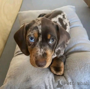 Zdjęcie №2 do zapowiedźy № 167012 na sprzedaż   - wkupić się Hiszpania 