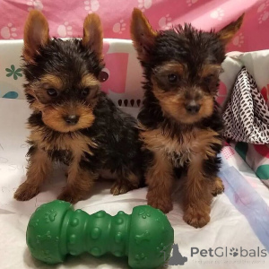 Zdjęcie №1.  - na sprzedaż w Madryt | 3588zł | Zapowiedź №162907