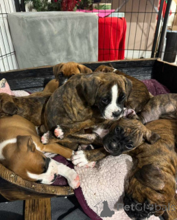 Zdjęcie №4. Sprzedam  w Guelph.  - cena - 3707zł