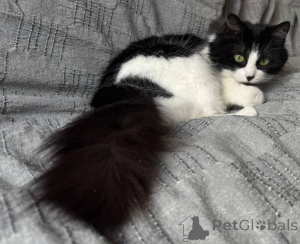 Zdjęcie №3. Iris - Air Cloud. Białoruś