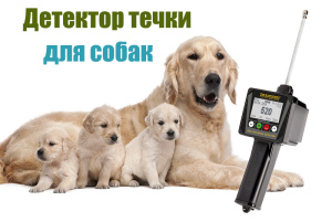 Zdjęcie №1. Idealne narzędzie dla hodowców - DRAMIŃSKI detektor ujścia dla psów w mieście Moskwa. Price - 2118zł. Zapowiedź № 2230