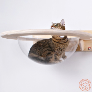 Zdjęcie №2. Meble dla psów i kotów w Federacja Rosyjska. Price - 516zł. Zapowiedź № 5274