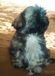 Zdjęcie №3. Elzbieta Zabaglo. Polska