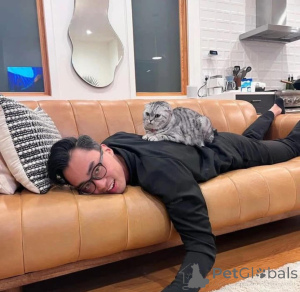 Zdjęcie №1.  - na sprzedaż w Augustusburg | negocjowane | Zapowiedź №165469