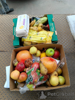 Zdjęcie №2. Towary zoo (Żywienie) w Federacja Rosyjska. Price - 1zł. Zapowiedź № 133800