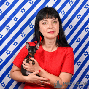 Zdjęcie №3. rosyjska zabawka. Izrael