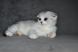 Zdjęcie №1. highland-straights - na sprzedaż w Wilno | 3050zł | Zapowiedź № 33395