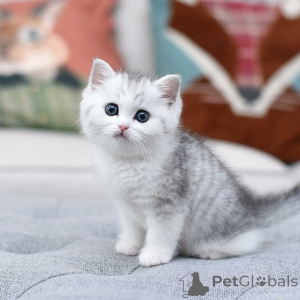 Zdjęcie №4. Sprzedam  w Valencia de Alcántara.  - cena - negocjowane