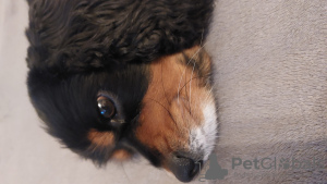 Zdjęcie №3. Ludmiła Bułyżkina. Niemcy