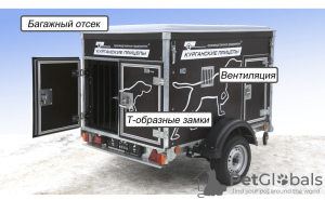 Zdjęcie №2. Usługi dostawy i transportu kotów i psów w Białoruś. Price - 37zł. Zapowiedź № 32961