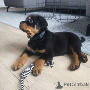 Zdjęcie №1.  - na sprzedaż w Larnaca | 1435zł | Zapowiedź №143876