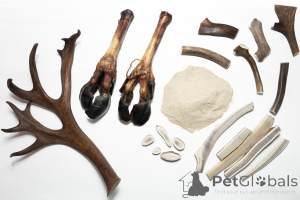 Zdjęcie №2. Towary zoo (Żywienie) w Federacja Rosyjska. Price - Bezpłatny. Zapowiedź № 139158