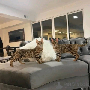 Zdjęcie №1.  - na sprzedaż w Espoo | 4784zł | Zapowiedź № 161554