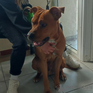 Zdjęcie №3. Chuprinda Galina. Ukraina