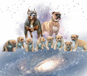 Zdjęcie №3. Fajne szczenięta dla najbardziej godnych. Federacja Rosyjska