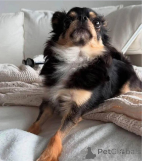 Zdjęcie №1.  - na sprzedaż w Texas City | negocjowane | Zapowiedź №138790