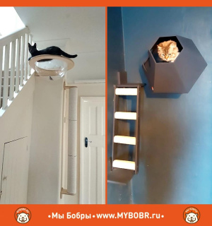 Zdjęcie №2. Meble dla psów i kotów w Federacja Rosyjska. Price - 129zł. Zapowiedź № 5282